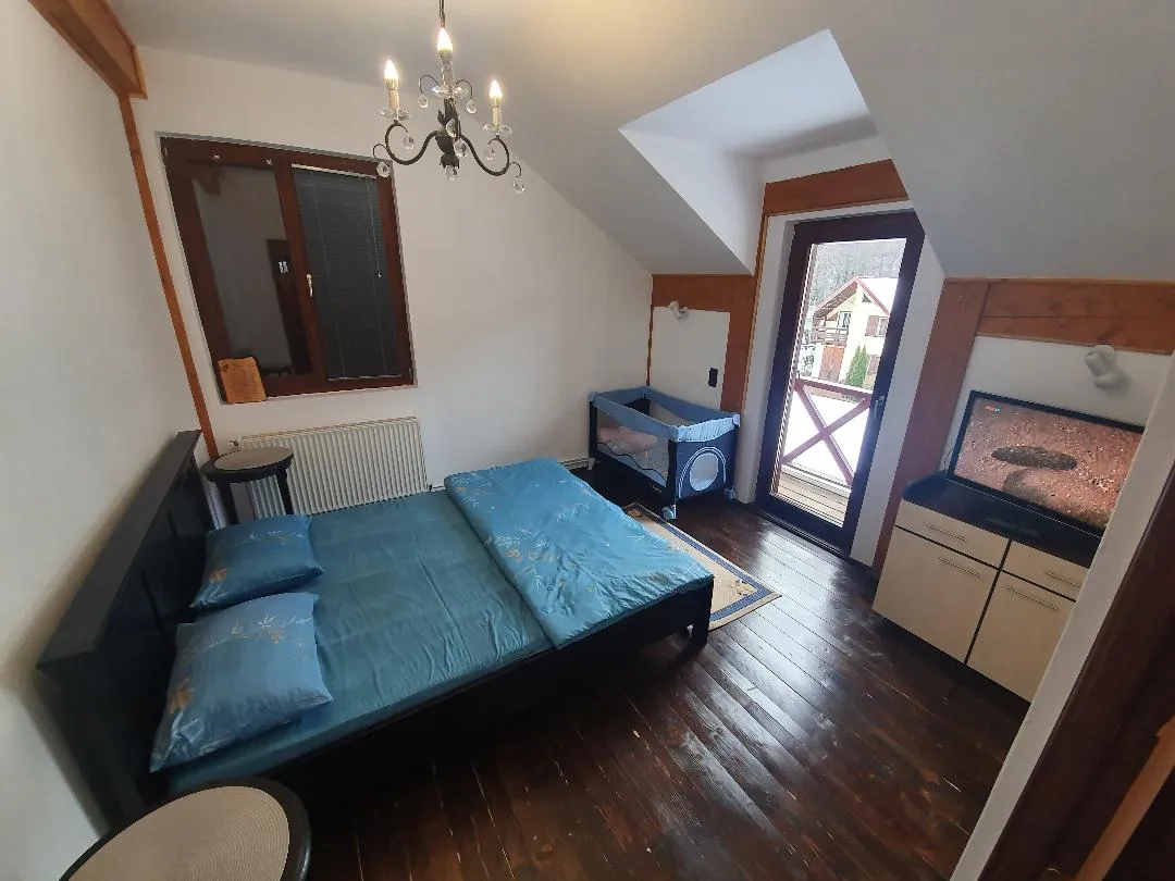 Interior Cabana Vulpea 1